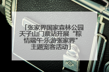 张家界国家森林公园天子山门票站开展“粽情端午·乐游张家界”主题宠客活动