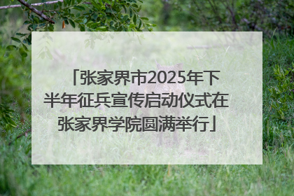 张家界市2025年下半年征兵宣传启动仪式在张家界学院圆满举行