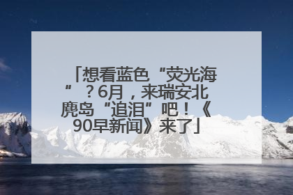 想看蓝色“荧光海”？6月，来瑞安北麂岛“追泪”吧！《90早新闻》来了