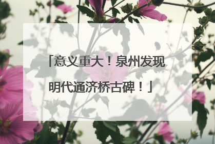 意义重大！泉州发现明代通济桥古碑！
