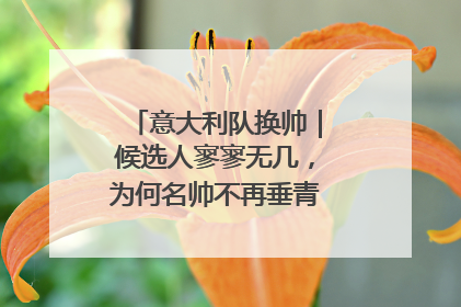 意大利队换帅｜候选人寥寥无几，为何名帅不再垂青“蓝衣军团”？
