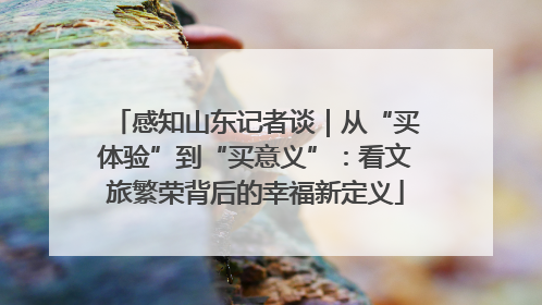 感知山东记者谈｜从“买体验”到“买意义”：看文旅繁荣背后的幸福新定义