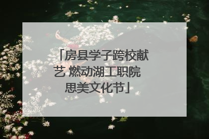 房县学子跨校献艺 燃动湖工职院思美文化节