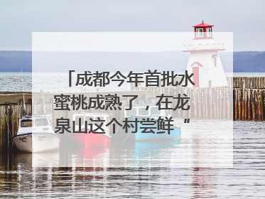 成都今年首批水蜜桃成熟了，在龙泉山这个村尝鲜“第一口”｜寻找和美乡村推荐官