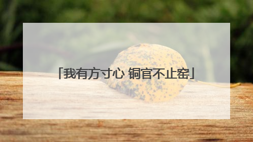 我有方寸心 铜官不止窑