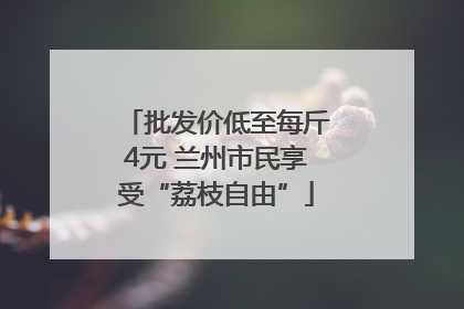 批发价低至每斤4元 兰州市民享受“荔枝自由”