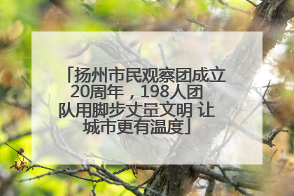 扬州市民观察团成立20周年，198人团队用脚步丈量文明 让城市更有温度