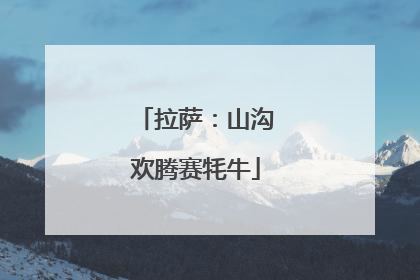 拉萨：山沟欢腾赛牦牛