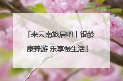 来云南旅居吧丨银龄康养游 乐享慢生活