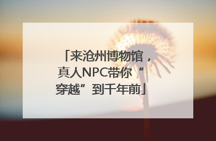 来沧州博物馆，真人NPC带你“穿越”到千年前