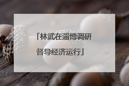 林武在淄博调研督导经济运行
