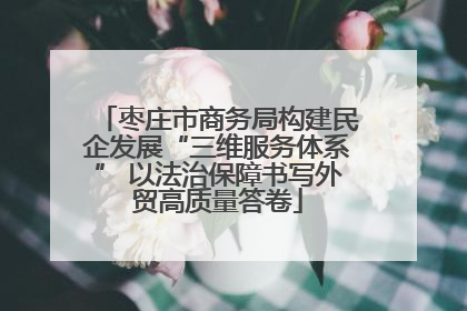 枣庄市商务局构建民企发展“三维服务体系” 以法治保障书写外贸高质量答卷