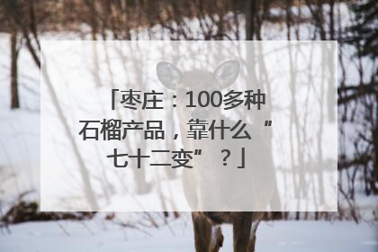 枣庄：100多种石榴产品，靠什么“七十二变”？