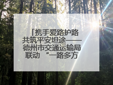 携手爱路护路 共筑平安坦途——德州市交通运输局联动 “一路多方” 开展路政宣传月活动