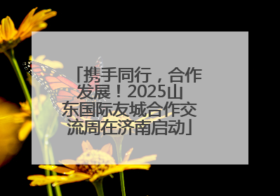 携手同行，合作发展！2025山东国际友城合作交流周在济南启动