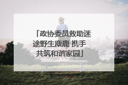政协委员救助迷途野生麋鹿 携手共筑和谐家园