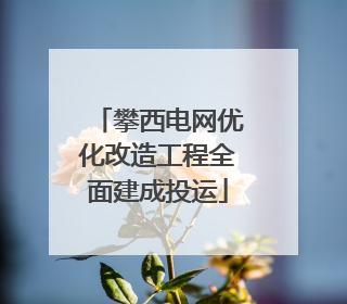 攀西电网优化改造工程全面建成投运