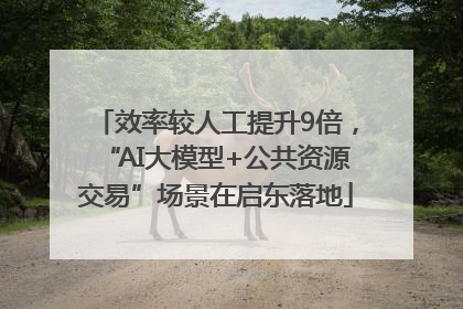 效率较人工提升9倍，“AI大模型+公共资源交易”场景在启东落地