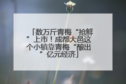 数万斤青梅“抢鲜”上市！成都大邑这个小镇靠青梅“酿出”亿元经济