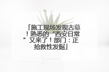 施工现场发现古墓！熟悉的“西安日常”又来了！部门：正抢救性发掘