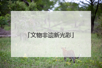 文物非遗新光彩
