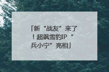 新“战友”来了！超飒雪豹IP“兵小宁”亮相