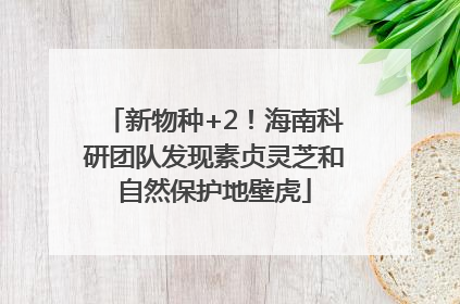 新物种+2！海南科研团队发现素贞灵芝和自然保护地壁虎