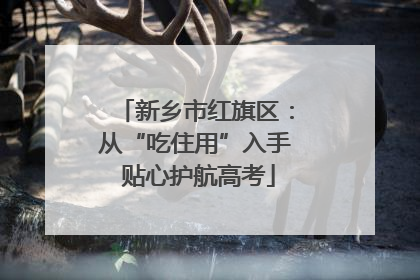 新乡市红旗区：从“吃住用”入手 贴心护航高考