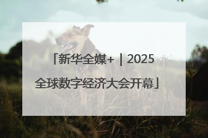 新华全媒+｜2025全球数字经济大会开幕