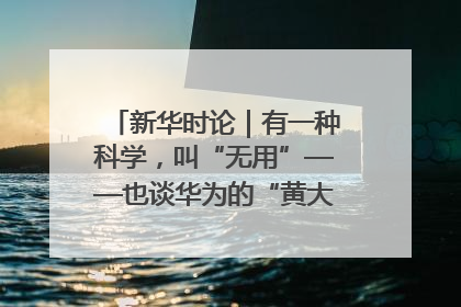 新华时论｜有一种科学，叫“无用”——也谈华为的“黄大年茶思屋”