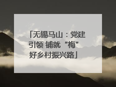 无锡马山：党建引领 铺就“梅”好乡村振兴路