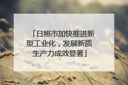 日照市加快推进新型工业化，发展新质生产力成效显著