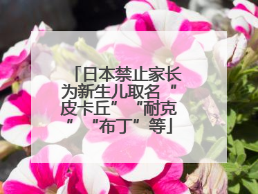 日本禁止家长为新生儿取名“皮卡丘”“耐克”“布丁”等