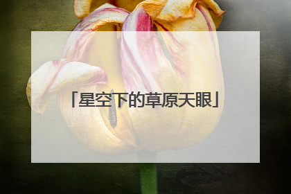 星空下的草原天眼
