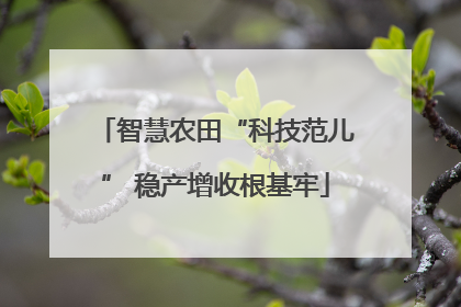 智慧农田“科技范儿” 稳产增收根基牢