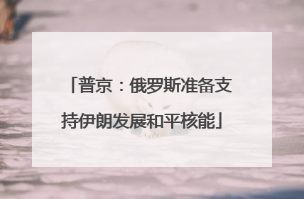普京：俄罗斯准备支持伊朗发展和平核能