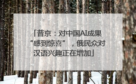 普京：对中国AI成果“感到惊喜”，俄民众对汉语兴趣正在增加