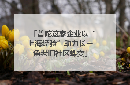 普陀这家企业以“上海经验”助力长三角老旧社区蝶变