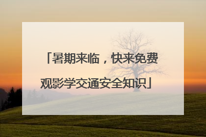 暑期来临，快来免费观影学交通安全知识