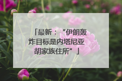 最新：“伊朗轰炸目标是内塔尼亚胡家族住所”