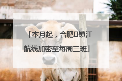 本月起，合肥⇋镇江航线加密至每周三班