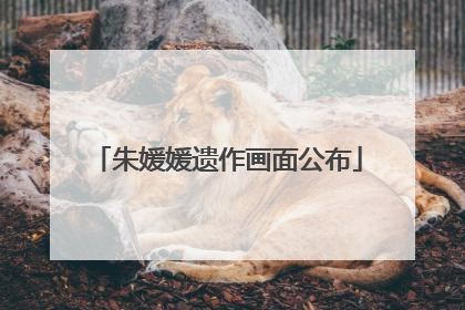 朱媛媛遗作画面公布
