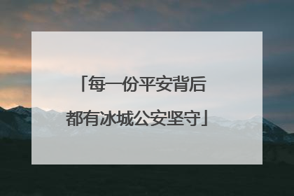 每一份平安背后 都有冰城公安坚守