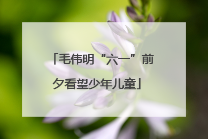 毛伟明“六一”前夕看望少年儿童