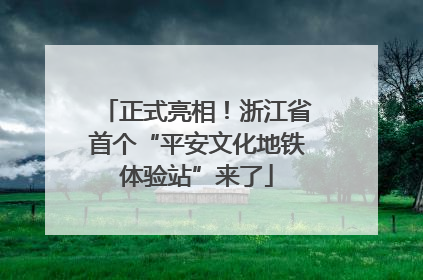 正式亮相！浙江省首个“平安文化地铁体验站”来了