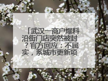 武汉一商户爆料沿街门店突然被封？官方回应：不属实，系城市更新项目征迁打围，此前已公示