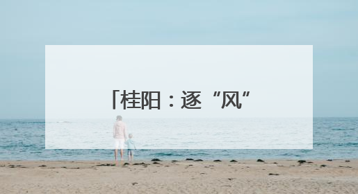 桂阳：逐“风”追“光” 向“新”向“绿”发展
