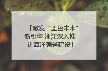 激发“蓝色未来”新引擎 浙江深入推进海洋强省建设