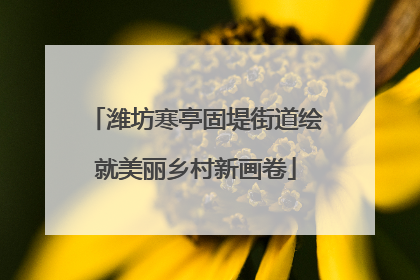 潍坊寒亭固堤街道绘就美丽乡村新画卷