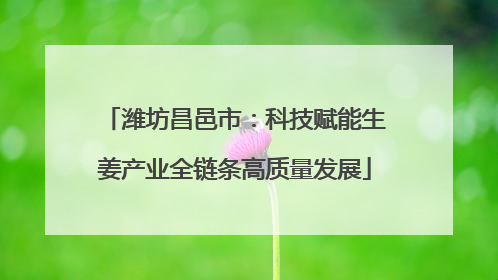潍坊昌邑市：科技赋能生姜产业全链条高质量发展
